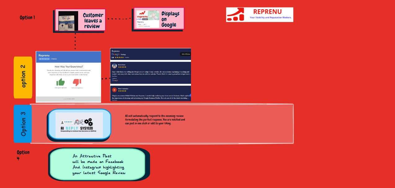 Reprenu pricing options